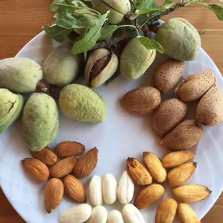 Pansiyon Karia Apart&pension *