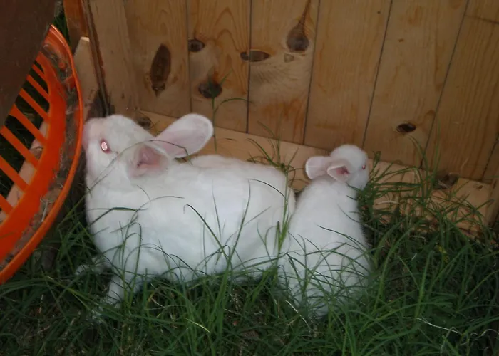 Karia Apart&pension Mesudiye (Datca)