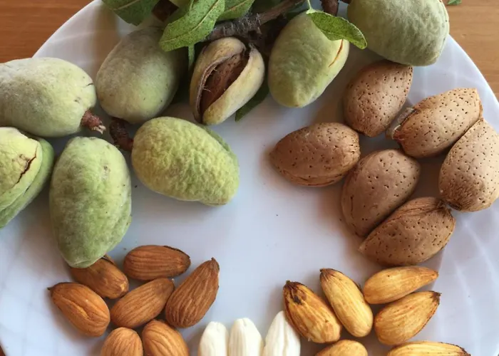 בית אירוח Karia Apart&pension *