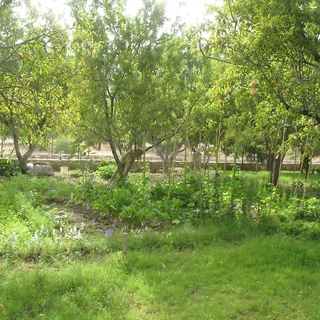 منزل للإقامة Karia Apart&pension ميسوديه